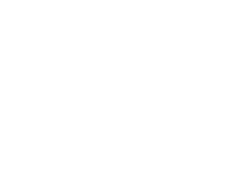 Plumbing Services Denbigh